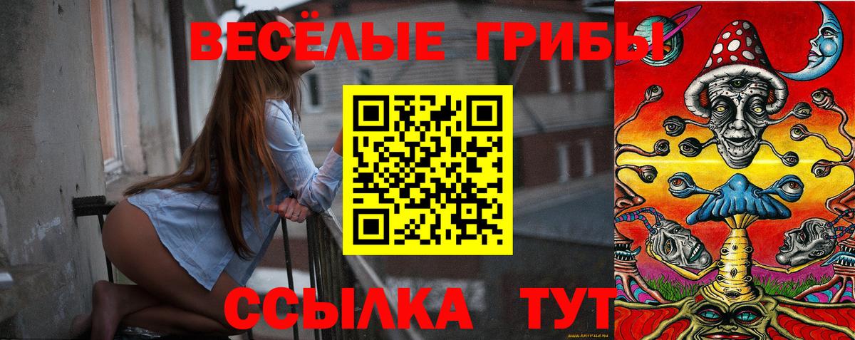 Псилоцибиновые грибы ЛСД  Вход с VPN  Заринск 