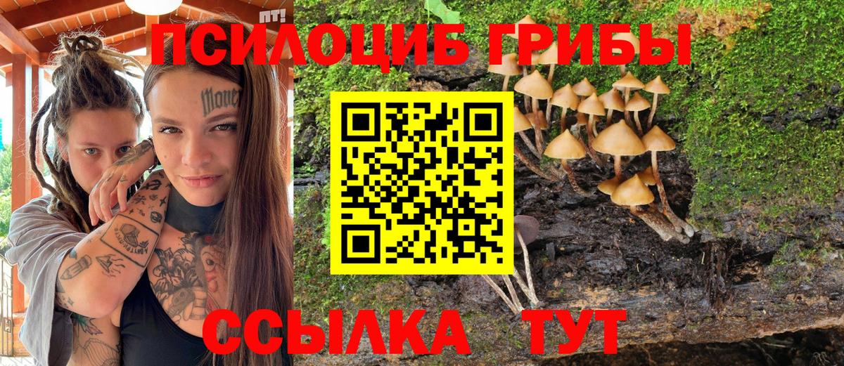 Каннабис Заринск